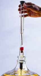 Image of Vintyv - pipette